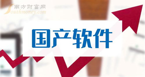 國產(chǎn)軟件龍頭及八家上市公司盤點 聚焦2024網(wǎng)絡與信息安全軟件開發(fā)